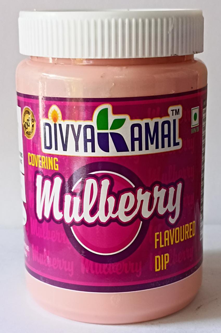 Mulberry Dip 750 gm